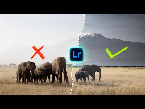 FULL SUN AND HARSH LIGHT Lightroom HACKS and field techniques!  Also, Canon 200-800 quick peek!