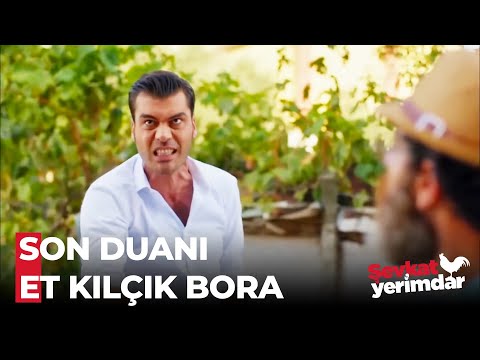 Bora'nın Planı İşe Yarıyor - Şevkat Yerimdar