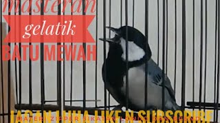 Download lagu MASTERAN GELATIK MEWAH FULL TEMBAKAN SIKATAN LONDO ZIPER DAN BRED PRENJAK mp3