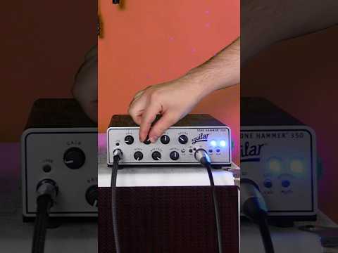 Get Les Claypool's bass tone in 30 seconds #bass #primus #lesclaypool