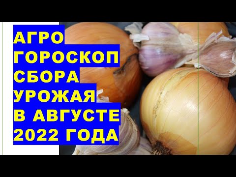 , title : 'Агрогороскоп сбора урожая чеснока, лука, картофеля других овощей, плодов и ягод на август 2022'