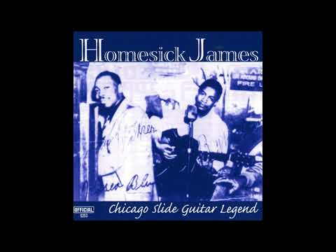 Homesick James - Shake Your Money Maker