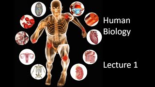 Human Biology lecture 1, part 1   An introduction to the class