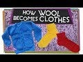 Wonderful Wool