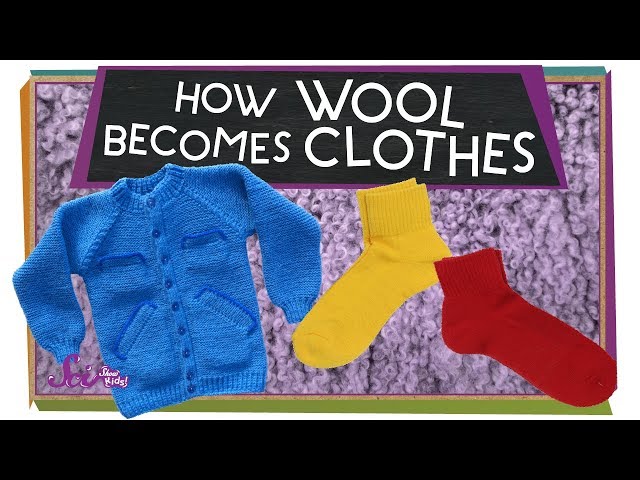 İngilizce'de wool Video Telaffuz