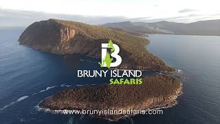 Bruny Island Safaris, Food, Sightseeing & Cape Bruny Lighthouse Tours in Tasmania, departing Hobart