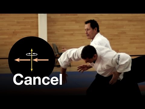 Aikido: "Cancelling". Christian Tissier Shihan