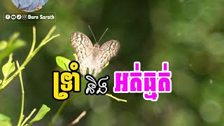 ទ្រាំ និងអត់ធ្មត់