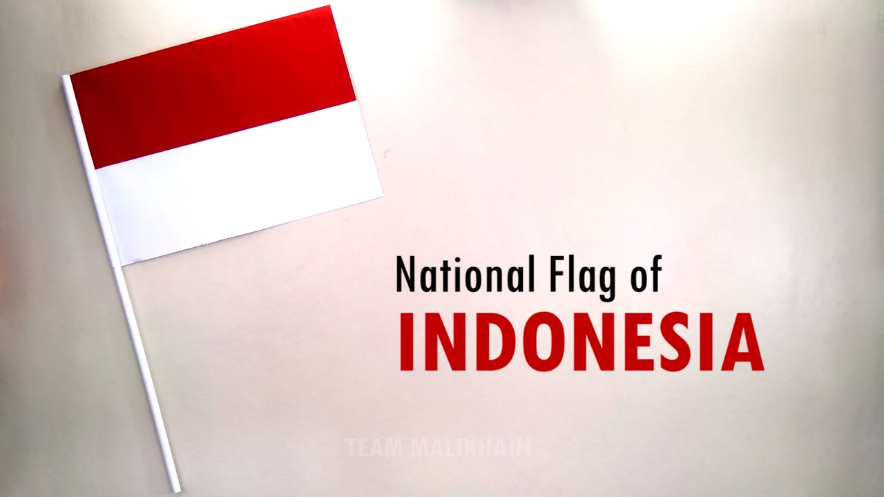 How to Make the National Flag of Indonesia | DIY School Project | Indonesian Flag Making