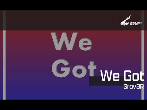 Srav3R - We Got