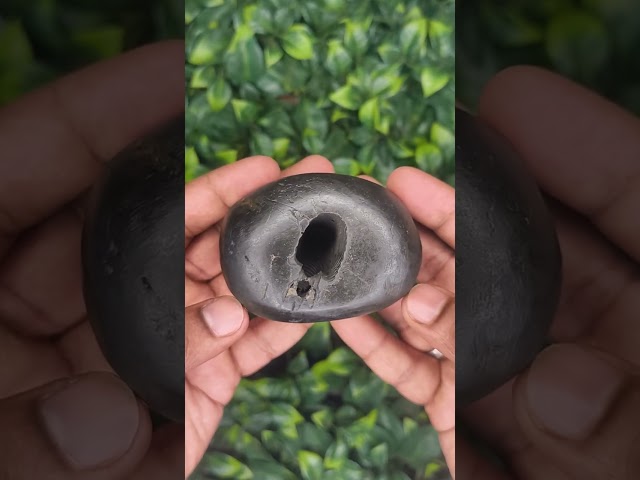 Sankarshana Cosmic Sudarshan Narayan Shaligram) Sudarshan Narayan shaligram video