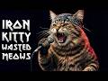 Iron Kitty Wasted Meows Live At Rock Roar Festival 2026