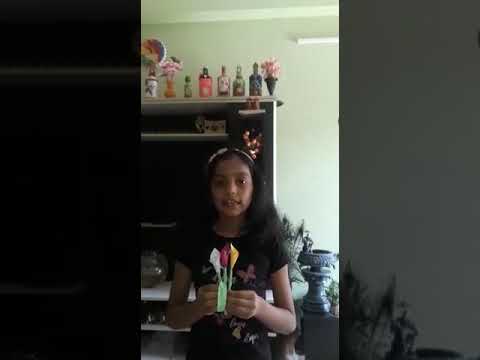 FLOWERS  BY SRINIDHI OF 3A