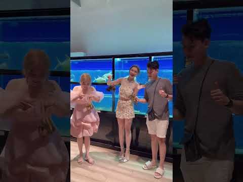 Sky Garden Frutos do mar e café