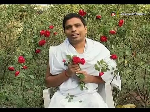 Ayurvedic Benefits of Rose for Heart disease | Acharya Balkrishna