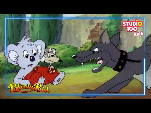 Dumme Sprüche - Blinky Bill🐼🍃 - Studio100 KIDS