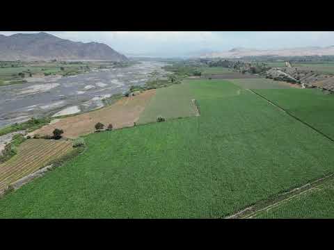 140 HECTAREAS EN PISCO ICA CON AGUA DE CANAL PERMANNETE