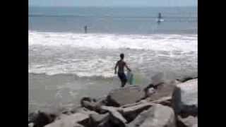 Everybody's surfing...