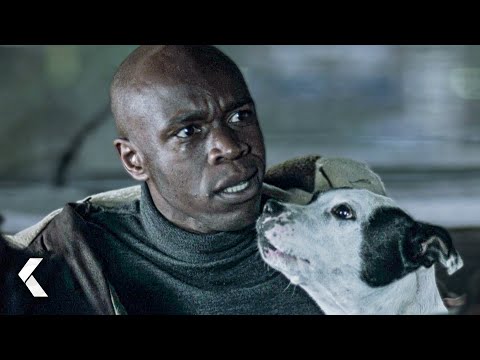 Squeaky Dog Scene - Snatch | Brad Pitt, Jason Stathem
