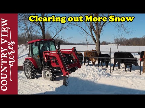 Removing More Snow and Fixing Our Broke Down Vehicles.