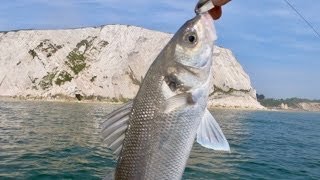 Sea Fishing by Huge Chalk Cliffs: What a Place to Fish!