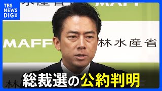 自民党総裁選　小泉進次郎氏の公約判明 あす“9つの柱からなる政策”発表予定　高市早苗氏は午後「給付付き税額控除」導入など盛り込んだ政策を発表へ｜TBS NEWS DIG