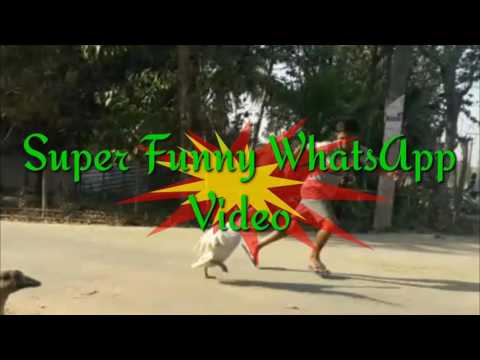 Ayub Khan super funny WhatsApp video by A. Ansary