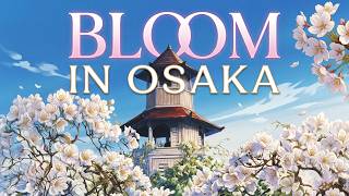 BLOOM IN ＯＳＡＫＡ (Lofi Hip Hop) 🌼