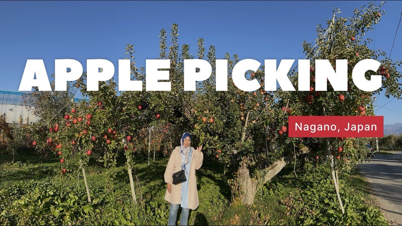 Experience the joy of apple picking in Nagano through this captivating video!