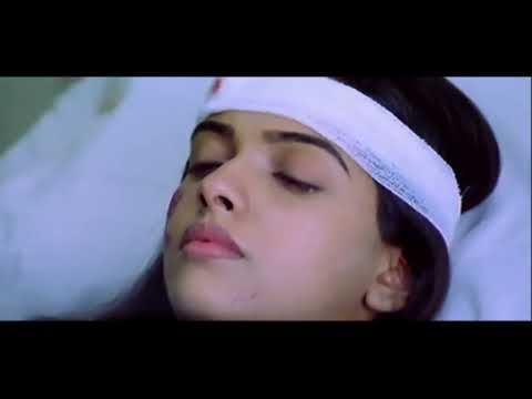 Kavvinche Premika HD Video Song | Gharshana Telugu Movie | Venkatesh, Asin