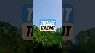 Download lagu Lagu Sunda Nining Meida - Tibelat 🎵 #niningmeida #lagusunda #music mp3
