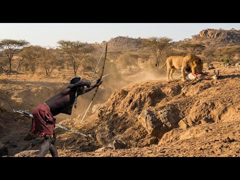 Dangerous Hunt of Hadzabe Tribe: Challenge Lion & Fight For Survival | Discover African Hunters