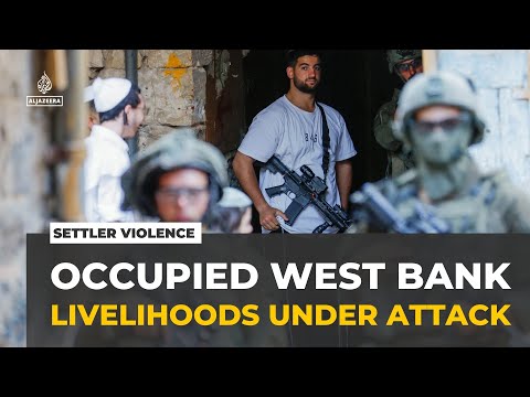Israeli settler attacks: Livelihoods under attack in occupied West Bank