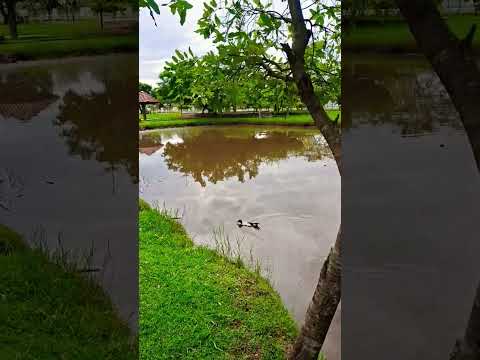 Espelho d'água em Paranaiba/ MS