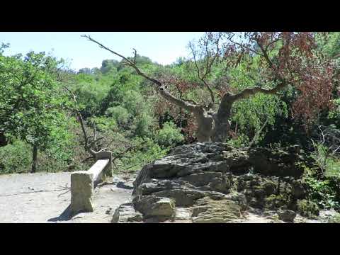 Stempelstelle 69 Sonnenklippe - Harzer Wandernadel