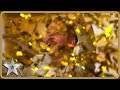 Audience Member Max Fox S SPONTANEOUS Audition Gets Him A GOLDEN BUZZER Auditions BGT 2025