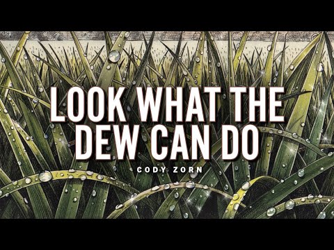 CODY ZORN - LOOK WHAT THE DEW CAN DO