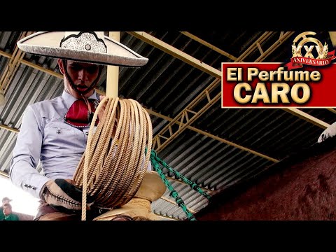 Piales - 2022 Campeonato Millonario THV - Piales en el Lienzo - 29 agosto