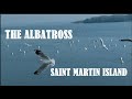 Gangchill The Albatross Saint Martin
