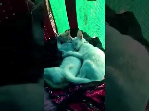 എന്താചെയ്യാ സ്കൂളിൽ പോവാൻ ഇത്രക്കും മടിയോ 🙆‍♂️🙆‍♂️🙆‍♂️