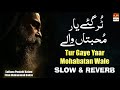 Tur Gaye Yaar Mohabbatan Wale Slow Reverb Kalam Mian Muhammad Bakhsh AJR Digital