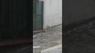 nevica-ad-aprile-a-monterverde-incredibile