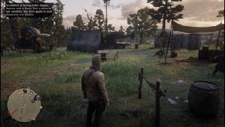 Red Dead Redemption 2 - First Fence (Gameplay, No Commentary)