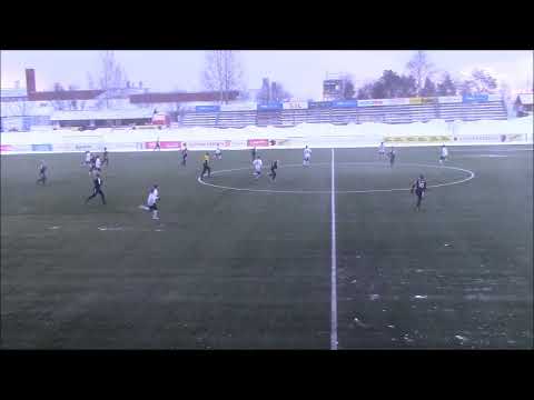 Pallokissat - Kuusysi