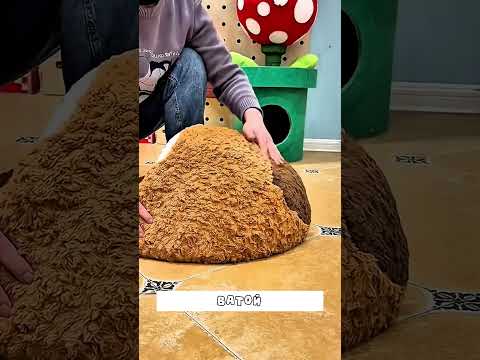 Хозяин сделал для кота огромный тапок #коты #животные #shorts