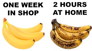 Illogical Memes That Make No Sense