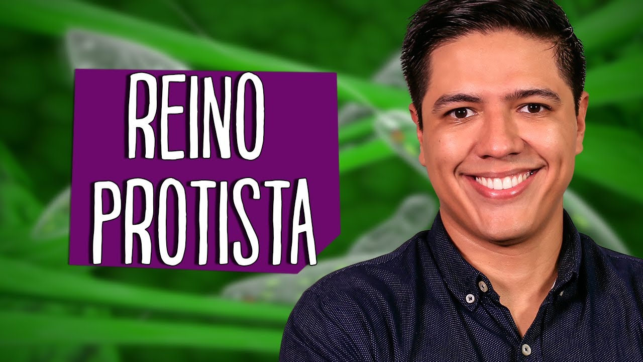 REINO PROTISTA - PROTOCTISTA: PROTOZOÁRIOS E ALGAS - Prof. Kennedy Ramos