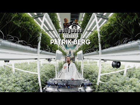 PATRIK BERG DJ SET @BIGGEST CANNABIS INDOOR PLANTAGE, SWITZERLAND