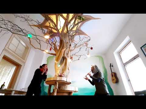 Bass Dan Moi and overtone flute in the set live @ Spirit Lodge