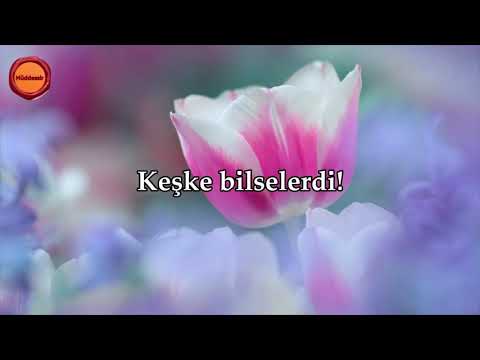 Kalem Suresi - Nasser al Qatami